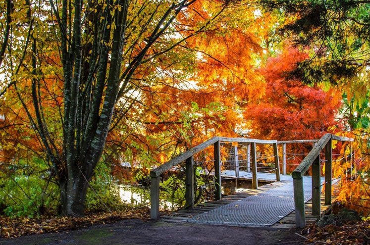 Penshurst Botanic Gardens, Australia